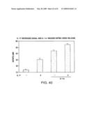 IL-17 homologous polypeptides and therapeutic uses thereof diagram and image