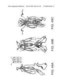 IL-17 homologous polypeptides and therapeutic uses thereof diagram and image