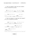 ANTI-HEPCIDIN ANTIBODIES AND USES THEREOF diagram and image