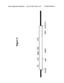 Humanized PAI-1 Antibodies diagram and image