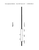 Humanized PAI-1 Antibodies diagram and image