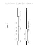 Humanized PAI-1 Antibodies diagram and image