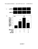 Humanized PAI-1 Antibodies diagram and image