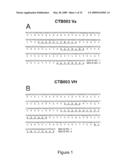 TRAIL RECEPTOR-BINDING AGENTS AND USES OF THE SAME diagram and image