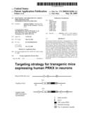 Diagnostic and therapeutic target PRKX proteins for neurodegenerative diseases diagram and image