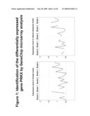 Diagnostic and therapeutic target PRKX proteins for neurodegenerative diseases diagram and image