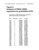 Diagnostic and therapeutic target PRKX proteins for neurodegenerative diseases diagram and image