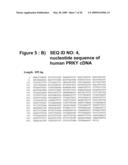 Diagnostic and therapeutic target PRKX proteins for neurodegenerative diseases diagram and image