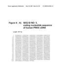 Diagnostic and therapeutic target PRKX proteins for neurodegenerative diseases diagram and image