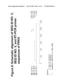 Diagnostic and therapeutic target PRKX proteins for neurodegenerative diseases diagram and image