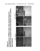 Diagnostic and therapeutic target PRKX proteins for neurodegenerative diseases diagram and image