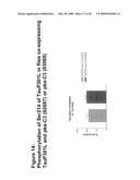 Diagnostic and therapeutic target PRKX proteins for neurodegenerative diseases diagram and image