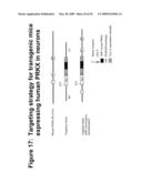 Diagnostic and therapeutic target PRKX proteins for neurodegenerative diseases diagram and image