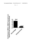 Use of Toll-Like Receptor 4 Antagonists for the Treatment or Prevention of Osteoarthritic Conditions diagram and image