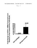 Use of Toll-Like Receptor 4 Antagonists for the Treatment or Prevention of Osteoarthritic Conditions diagram and image