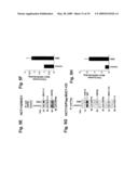 MITOCHONDRIAL LOCALIZATION OF MUC1 diagram and image