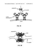 Multivalent Immunogen diagram and image