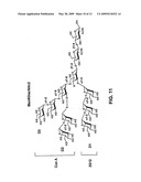 Multivalent Immunogen diagram and image