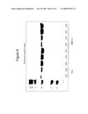 ANTI-CD26 ANTIBODIES AND METHODS OF USE THEREOF diagram and image