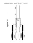 ANTI-CD26 ANTIBODIES AND METHODS OF USE THEREOF diagram and image