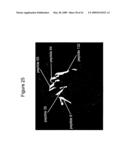 ANTI-CD26 ANTIBODIES AND METHODS OF USE THEREOF diagram and image