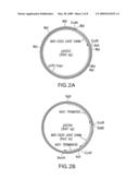 Immunoglobulins Comprising Predominantly a Glcnacman3Glcnac2 Glycoform diagram and image