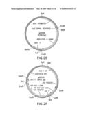 Immunoglobulins Comprising Predominantly a Glcnacman3Glcnac2 Glycoform diagram and image