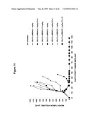 CD19 Binding Agents and Uses Thereof diagram and image