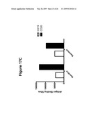 CD19 Binding Agents and Uses Thereof diagram and image