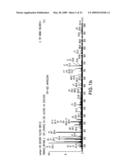 NOVEL IMMUNOGENIC EPITOPE FOR IMMUNOTHERAPY diagram and image