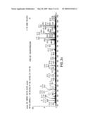 NOVEL IMMUNOGENIC EPITOPE FOR IMMUNOTHERAPY diagram and image