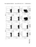 NOVEL IMMUNOGENIC EPITOPE FOR IMMUNOTHERAPY diagram and image