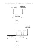 HPV E6 protein T cell epitopes and uses thereof diagram and image