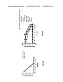 HPV E6 protein T cell epitopes and uses thereof diagram and image