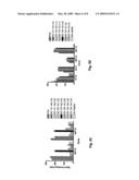 HPV E6 protein T cell epitopes and uses thereof diagram and image