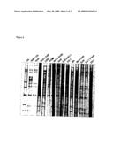 PORCINE ROTAVIRUS REASSORTANT COMPOSITIONS diagram and image