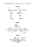 ZWITTERIONIZATION OF CAPSULAR SACCHARIDES diagram and image