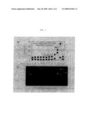 Method for Coating Particle with Lipid Film diagram and image