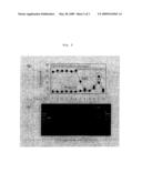 Method for Coating Particle with Lipid Film diagram and image