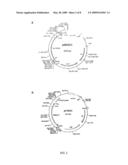 Adhesin-enterotoxin chimera based immunongenic composition against enterotoxigenic Escherichia Coli diagram and image