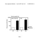 Adhesin-enterotoxin chimera based immunongenic composition against enterotoxigenic Escherichia Coli diagram and image