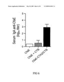 Adhesin-enterotoxin chimera based immunongenic composition against enterotoxigenic Escherichia Coli diagram and image