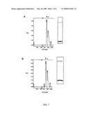 Adhesin-enterotoxin chimera based immunongenic composition against enterotoxigenic Escherichia Coli diagram and image