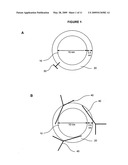 COLLOIDAL MAGNETIC NANOBIOPARTICLES FOR CYTOTOXICITY AND DRUG DELIVERY diagram and image