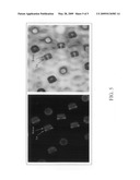 Sol-Gel phase-reversible hydrogel templates and uses thereof diagram and image