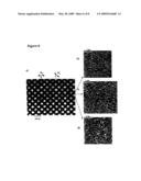 TOPOLOGICALLY STRUCTURED POLYMER COATING diagram and image