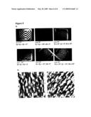 TOPOLOGICALLY STRUCTURED POLYMER COATING diagram and image