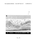 WET FORMED FIBROUS STRUCTURE PRODUCT diagram and image