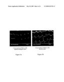 Process for the production of squared-analogous cross-section polyamide yarns and uses thereof diagram and image