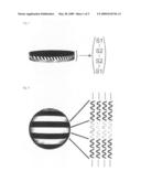 Nanodisk Comprising Block Copolymer diagram and image